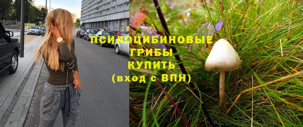 молекула духа Вязники