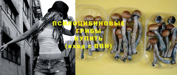 молекула духа Вязники