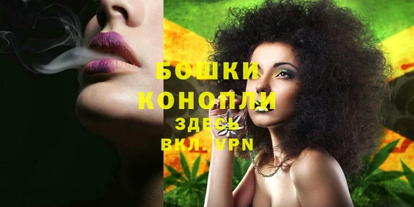 молекула духа Вязники